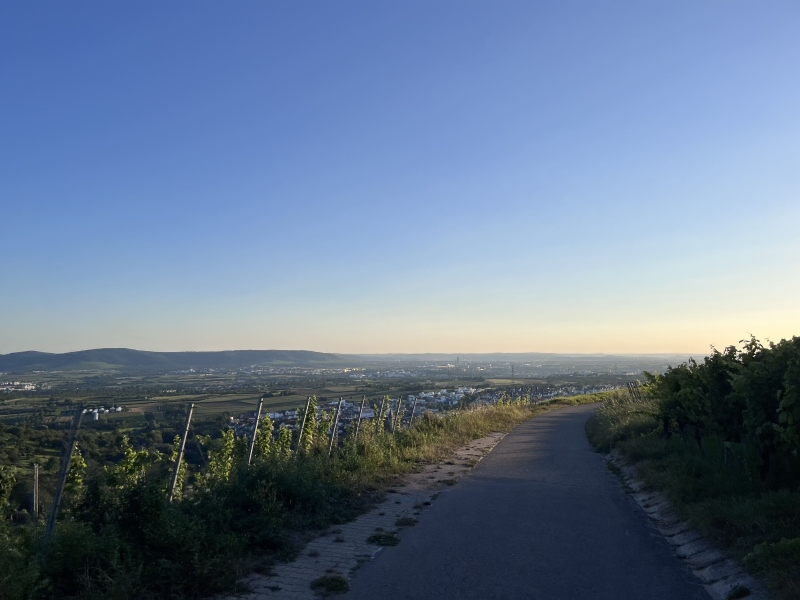 2024 Montagsradler3