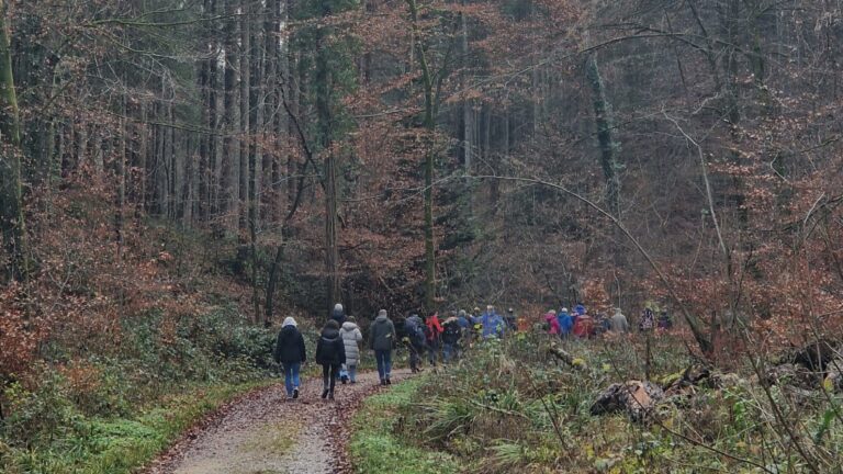 20251129 Abschluss 1